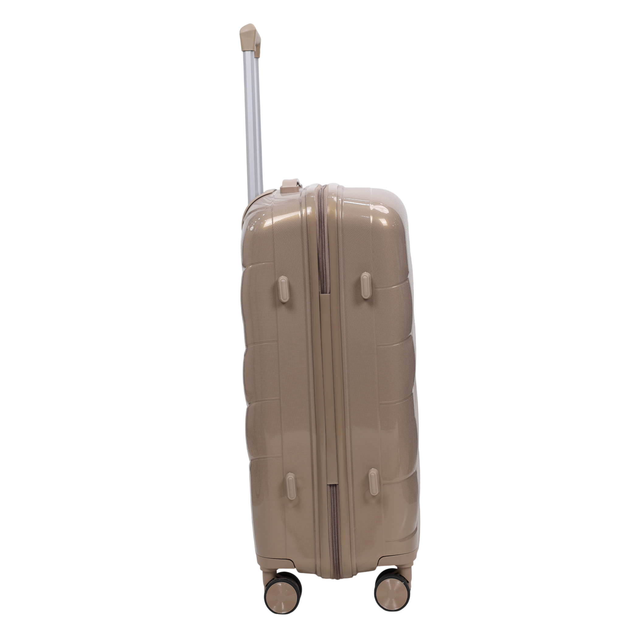 Eurostyle Glaze - MG78059 - Khaki - 24 Inch Trolley Bag